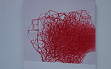 Studio Image 3