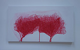 Studio Image 5