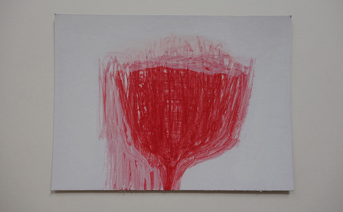 Studio Image