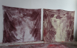 Studio Image 5