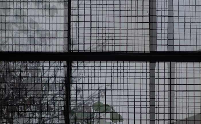 Video still
