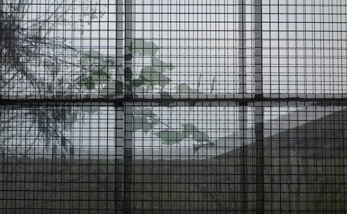 Video still