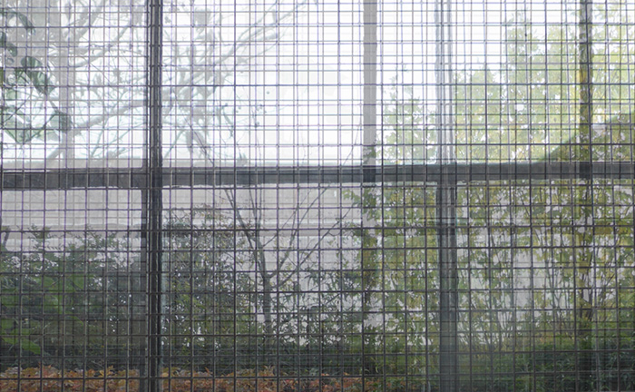 Video still