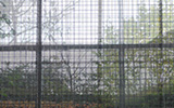 Video still